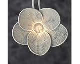2 Pack of Fun Light Wire Mesh Flower Lights
