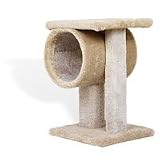 Pet Supplies : Classy Kitty Tunnel Tower