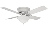 218LxW%2BV%2B7L. SL160  Hunter Fan Low Profile IV Plus Ceiling Fan