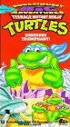 Teenage Mutant Ninja Turtles - Shredder Triumphant! [VHS]