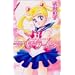 Complete Sailor Moon PGSM Mangas (In English)