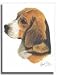 Beagle - Designer Dog Flags