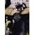 �`�F�R�A�j���V����II [DVD]