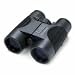 Bushnell H2O 10x42 Waterproof/Fogproof  Binocular w/Roof Prism
