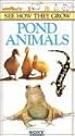 See How They Grow: Pond Animals [VHS]