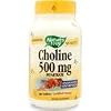 Choline Supplement 500 mg 100 Tablets