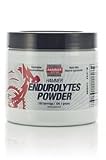 Hammer Gel Hammer Endurolytes Powder, 150 Serving