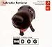 THE DOG~LabradorRetriever