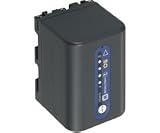 Sony NP-QM71D Super Quick High Capacity InfoLithium Camcorder Battery for DCRDVD301 & HDRSR1
