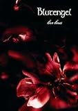 Produkt-Bild: Live Lines/Ltd. (DVD + CD)