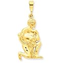 14kt Yellow Gold Aquarius Zodiac Charm