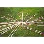 Traditional Garden Games Garden Pick Up Sticks