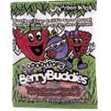 Goody Pops - Berry Buddies, 12 Units / 18 lozenges
