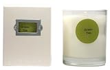 Review Ergo  / Ergo Green Tea Soy Candle