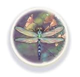 Terracoasters Dragonflies Aqua Stone Coasters Set/4
