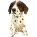 German Shorthaired Pointer Bobble Head