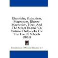 Electricity, Galvanism, Magnetism, Electro-Magnetism, Heat, And The Steam Engine V2: Natural Philosophy For The Use Of... by Commissioners Of National Education In I