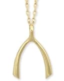 Gold Toned Wishbone Necklace