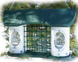Audubon/Woodlink RTT3 Green Recycled Triple Feeder