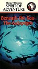 Beneath the Sea: Galapagos [VHS] [Import]