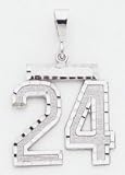 Large #24 Charm - WLN24