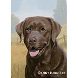 Chocolate Labrador Flag- 12 width x 17 length