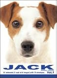 THE DOG Notecard Vol. 1 - Jack Russell Terrier