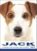   - THE DOG Notecard Vol. 1 - Jack Russell Terrier