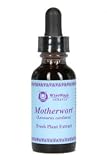 Motherwort 2 oz. (Alcohol Base) - Natural Herbal Female Tonic