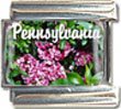Clearly Charming Pennsylvania State Flower Mountain Laurel Italian Charm Bracelet Link