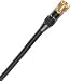 Dayton FV-6 F Video Cable 6 ft.