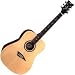 Tradition Daytona E Acoustic Electric Guitar
