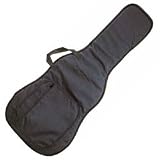 Acoustic Guitar Bags & Cases
