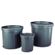 Nursery Pot - 5 Gallon