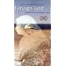 Foreign Land [VHS]