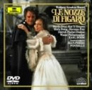 �̌��s�t�B�K���̌����t�S�� [DVD]