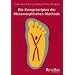Die Kernprinzipien der Metamorphischen Methode