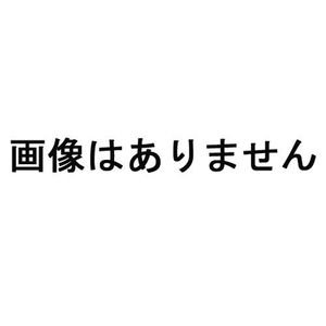 DID：シールチェーン用 50ERV G＆G ZJ ジョイント