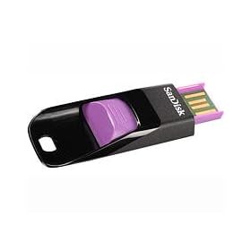 SanDisk Cruzer Edge 4G USB Flash Drive - Purple