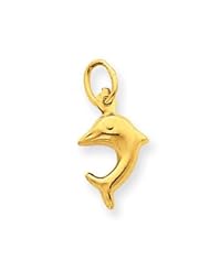 14k Gold Dolphin Charm