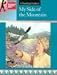 A Teaching Guide to My Side of the Mountain (Discovering Literature) by Mary Spicer ISBN 0931993768