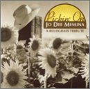 Pickin` on Jo Dee Messina