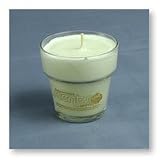 Eucalyptus 4 oz. Scented Soy Wax Candle