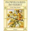 Flower Fairies. Im Herbst