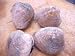 Fresh Cherrstones