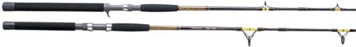 Shakespeare Two-Piece Medium Action Ugly Stik Bigwater Spinning Rod