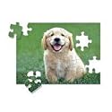 Melissa & Doug Golden Retriever Puppy Cardboard Jigsaw Puzzle - 30 Piece