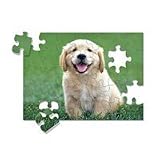 Melissa & Doug Golden Retriever Puppy Cardboard Jigsaw Puzzle - 30 Piece - B0007PZZGW