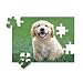 Melissa & Doug Golden Retriever Puppy Cardboard Jigsaw Puzzle - 30 Piece