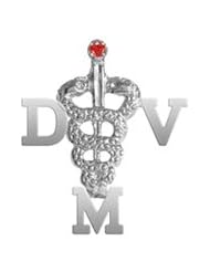 NursingPin - Veterinarian DVM Graduation Pin with Ruby in Silver